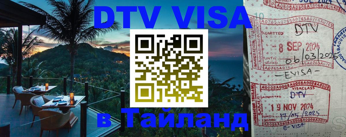 Сколько стоит DTV виза — актуальные цены, оформление даже без документов - Волгоград 